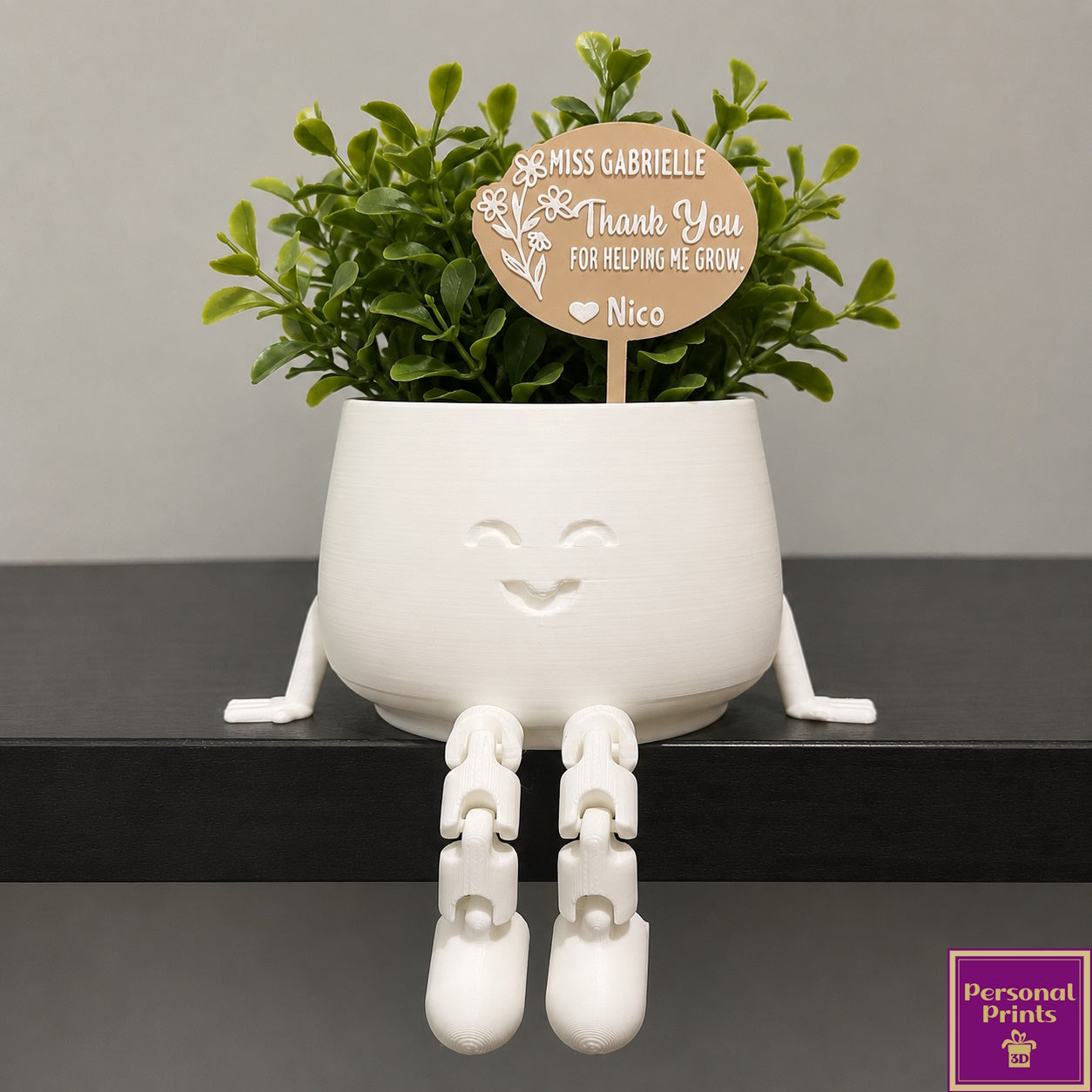PERSONALISED TEACHER DANGLING BUDDY PLANTER